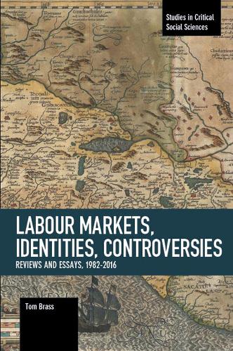 Бумажная книга «Labour Markets, Identities, Controversies: Reviews and Essays, 1982-2016», автор Том Брасс - фото №1