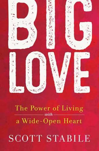 Бумажная книга «Big Love», автор Скотт Стабиле - фото №1