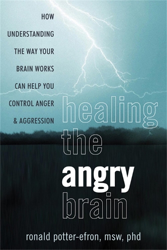 Бумажная книга «Healing the Angry Brain: How Understanding the Way Your Brain Works Can Help You Control Anger and Aggression», автор Рональд Т. Поттер-Эфрон - фото №1