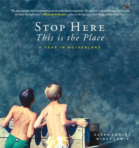 Бумажная книга «Stop Here, This is the Place», автор Сьюзен Конли - фото №1