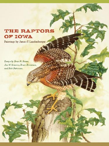 Паперова книга «The Raptors of Iowa», авторів Брюс Ересма, Декан М. Руса, Джон В. Страверс, Річ Паттерсон - фото №1