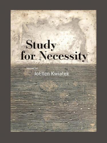 Бумажная книга «Study for Necessity», автор Джоэллен Квятек - фото №1