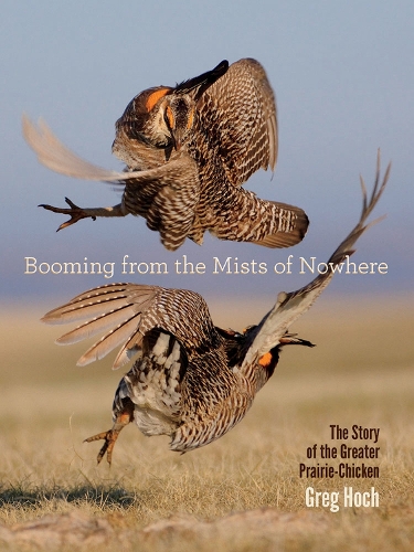 Бумажная книга «Booming from the Mists of Nowhere: The Story of the Greater PrairieChicken», автор Грег Хох - фото №1