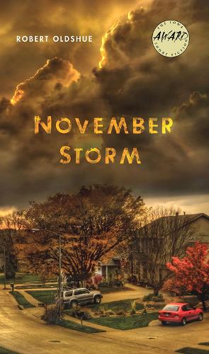 Бумажная книга «November Storm», автор Роберт Олдшу - фото №1