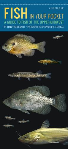 Бумажная книга «Fish in Your Pocket: A Guide to Fish of the Upper Midwest», автор Терри ВанДеВалль - фото №1