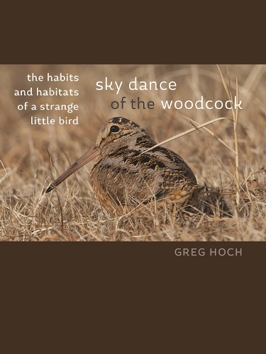 Бумажная книга «Sky Dance of the Woodcock: The Habits and Habitats of a Strange Little Bird», автор Грег Хох - фото №1