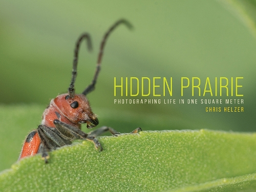 Бумажная книга «Hidden Prairie: Photographing Life in One Meter», автор Крис Хельцер - фото №1