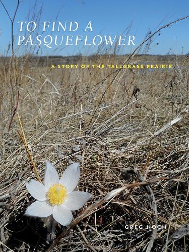 Бумажная книга «To Find a Pasqueflower: A Story of the Tallgrass Prairie», автор Грег Хох - фото №1