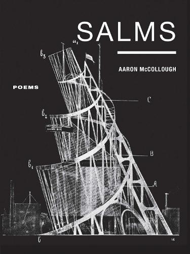 Паперова книга «Salms», автор Аарон МакКоллаф - фото №1