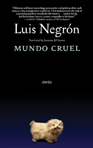 Паперова книга «Mundo Cruel: Stories», автор Луїс Негрон - фото №1