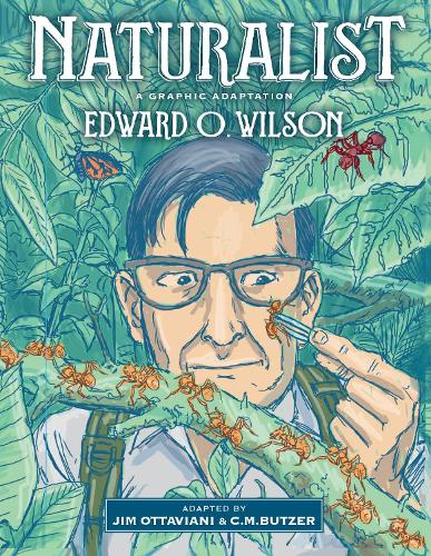 Бумажная книга «Naturalist: A Graphic Adaptation», авторов Эдвард О Уилсон, Джим Оттавиани - фото №1