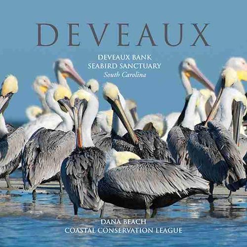 Бумажная книга «Deveaux: Deveaux Bank Seabird Sanctuary, South Carolina», автор Дана Бич - фото №1