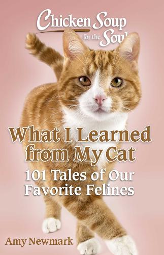 Paper book «Chicken Soup for the Soul: What I Learned from My Cat: 101 Tales of Our Favorite Felines», author Amy Newmark - фото №1