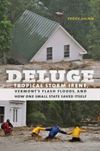 Бумажная книга «Deluge», автор Пегги Шинн - фото №1