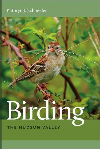 Бумажная книга «Birding the Hudson Valley», автор Кэтрин Дж. Шнайдер - фото №1