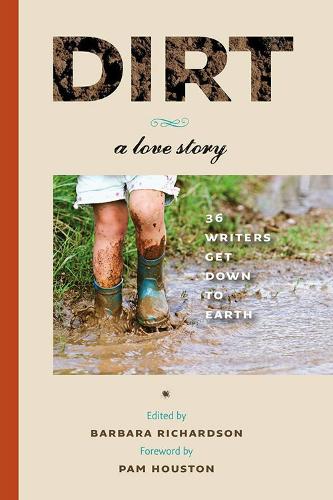 Бумажная книга «Dirt: A Love Story», автор Пэм Хьюстон - фото №1