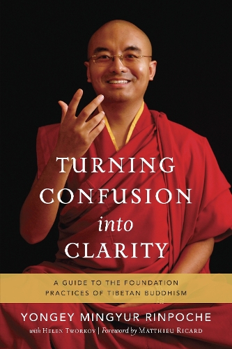Бумажная книга «Turning Confusion into Clarity: A Guide to the Foundation Practices of Tibetan Buddhism», автор Йонге Мингьюр Ринпоче - фото №1