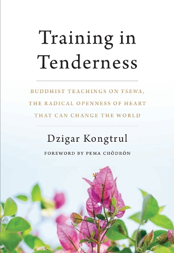 Бумажная книга «Training in Tenderness: Buddhist Teachings on Tsewa, the Radical Openness of Heart That Can Change the World», автор Дзигар Конгтрул - фото №1