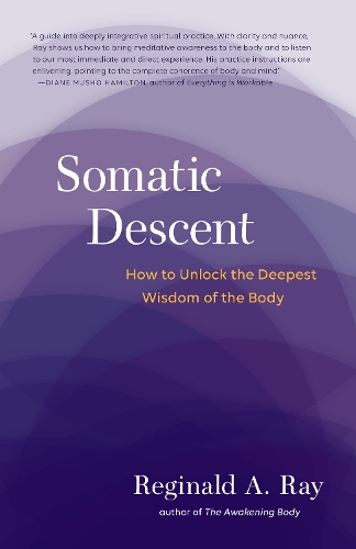 Бумажная книга «Somatic Descent: How to Unlock the Deepest Wisdom of the Body», автор Реджинальд Рэй - фото №1