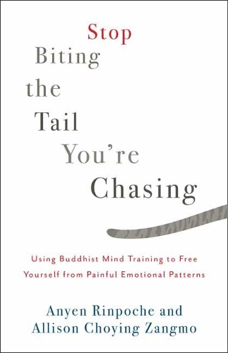 Паперова книга «Stop Biting the Tail You're Chasing: Using Buddhist Mind Training to Free Yourself from Painful Emotional Patterns», авторів Еллісон Чойінг Зангмо, Ан'єн Рінпоче - фото №1