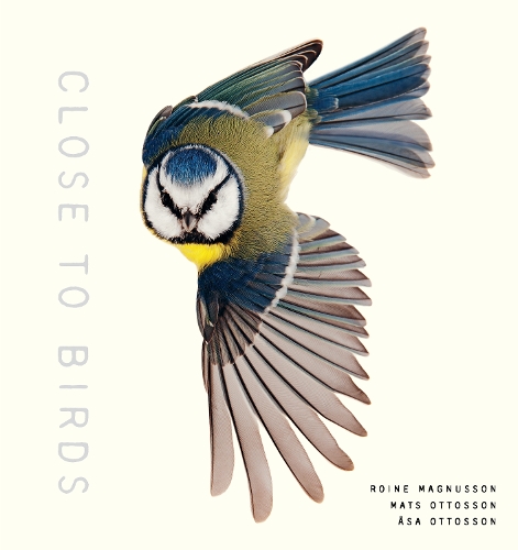 Паперова книга «Close to Birds: An Intimate Look at Our Feathered Friends», авторів Матс Оттосон, Ройна Магнуссон - фото №1