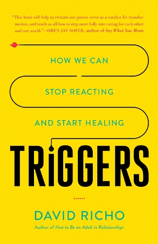 Бумажная книга «Triggers: How We Can Stop Reacting and Start Healing», автор Дэвид Ричо - фото №1