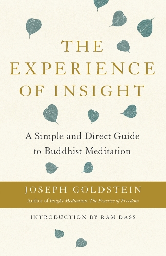 Бумажная книга «The Experience of Insight: A Simple and Direct Guide to Buddhist Meditation», автор Джозеф Гольдштейн - фото №1