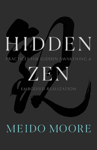Бумажная книга «Hidden Zen: Practices for Sudden Awakening and Embodied Realization», автор Мейдо Мур - фото №1