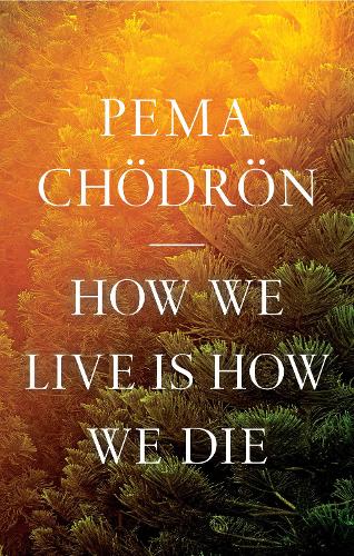 Паперова книга «How We Live Is How We Die», автор Пема Чодрон - фото №1