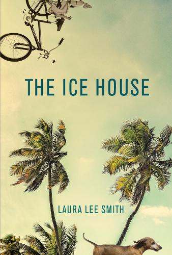 Паперова книга «The Ice House», автор Лора Лі Сміт - фото №1