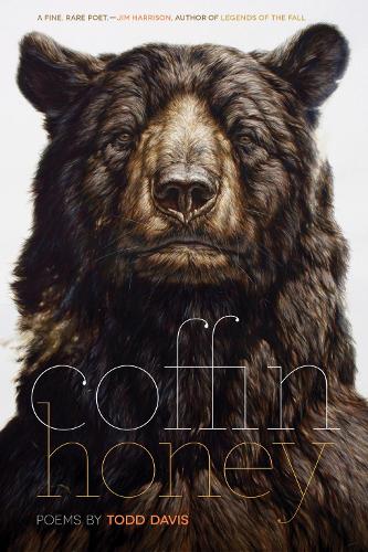 Паперова книга «Coffin Honey», автор Тодд Девіс - фото №1