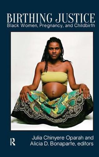 Паперова книга «Birthing Justice: Black Women, Pregnancy, and Childbirth» - фото №1