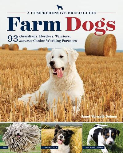 Бумажная книга «Farm Dogs: A Comprehensive Breed Guide to 93 Guardians, Herders, Terriers, and Other Canine Working Partners», автор Джанет Ворвальд Донер - фото №1