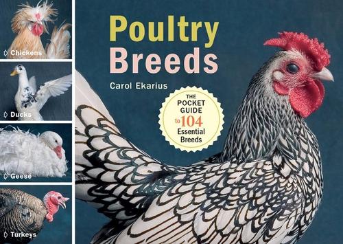Бумажная книга «Poultry Breeds: Chickens, Ducks, Geese, Turkeys: The Pocket Guide to 104 Essential Breeds», автор Кэрол Экариус - фото №1