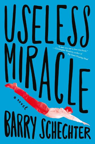Бумажная книга «Useless Miracle», автор Барри Шехтер - фото №1