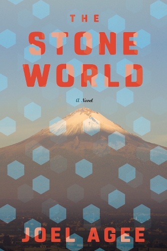 Бумажная книга «The Stone World», автор Джоэл Эйджи - фото №1