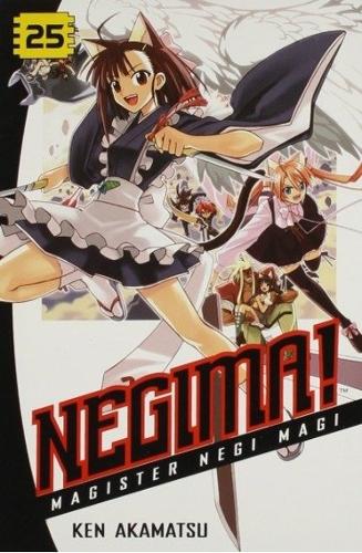 Бумажная книга «Negima! 25: Magister Negi Magi», автор Кэн Акамацу - фото №1