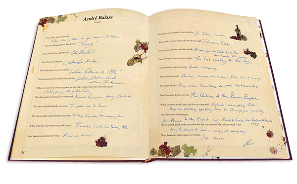 Бумажная книга «The Wine Questionnaire», автор Джей Макинерни - фото №1