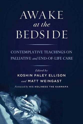 Бумажная книга «Awake at the Bedside: Contemplative Palliative and End of Life Care», авторов Кошин Пэйли Эллисон, Мэтт Вайнгаст - фото №1