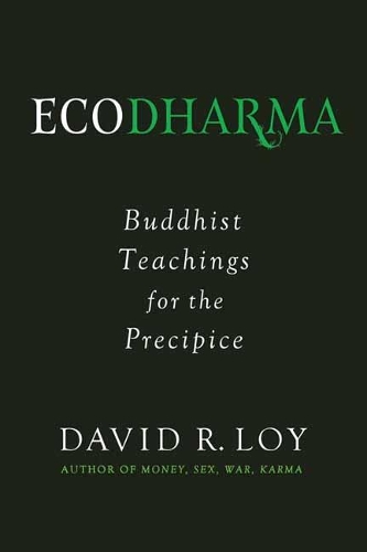 Бумажная книга «Ecodharma: Buddhist Teaching for the Precipice», автор Дэвид Лой - фото №1