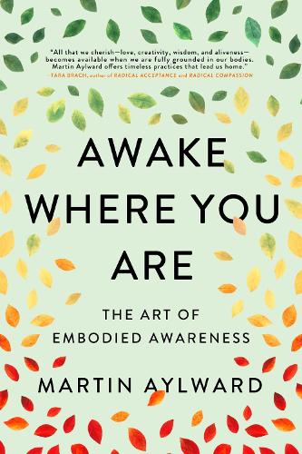 Паперова книга «Awake Where You Are: The Art of Embodied Awareness», автор Мартін Ейлворд - фото №1