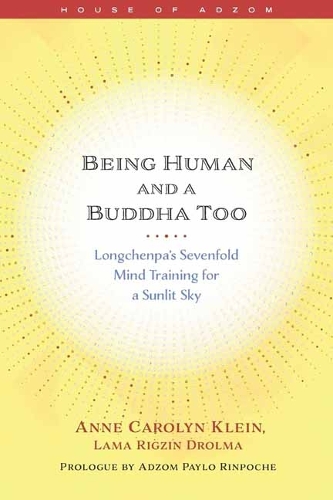 Бумажная книга «Being Human and a Buddha Too: Longchenpa's Seven Trainings for a Sunlit Sky», автор Энн Клейн - фото №1