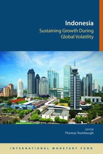 Бумажная книга «Indonesia: sustaining growth during global volatility», автор Томас Румбах - фото №1