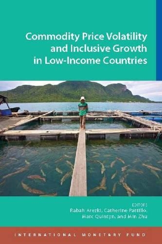 Паперова книга «Commodity price volatility and inclusive growth in low-income countries», автор Рабах Арезкі - фото №1