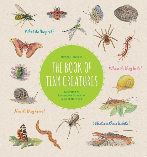 Паперова книга «The Book of Tiny Creatures», автор Наталі Торджман - фото №1