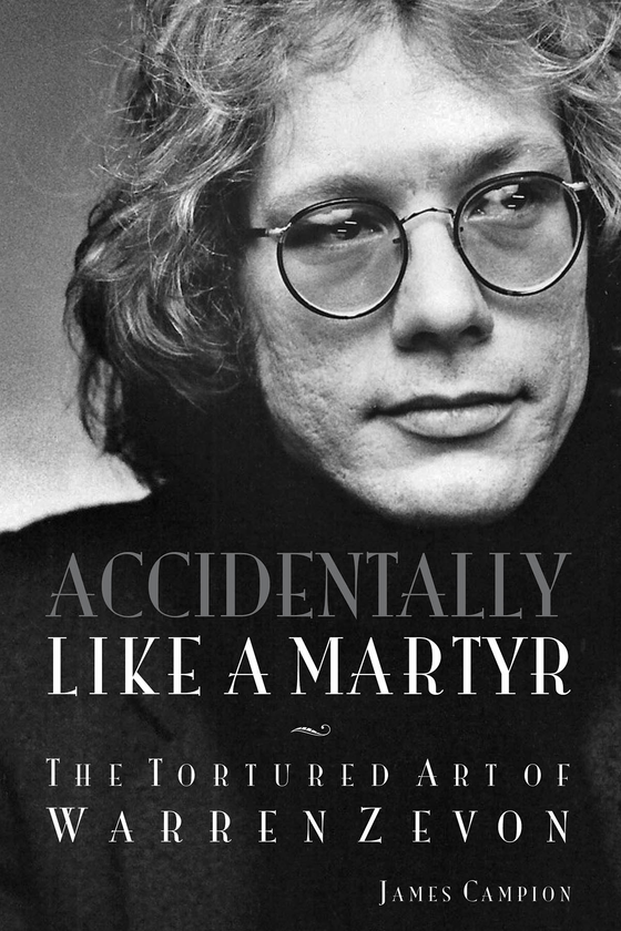 Бумажная книга «Accidentally Like a Martyr» - фото №1
