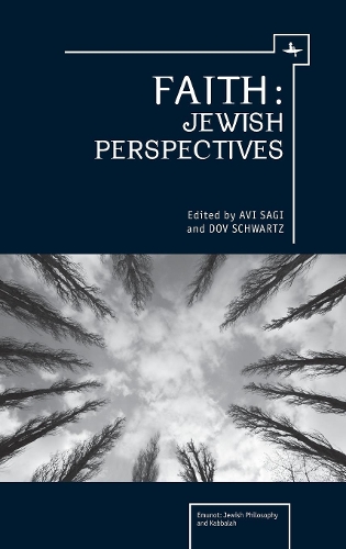 Бумажная книга «Faith: Jewish Perspectives», авторов Ави Саги, Дов Шварц - фото №1