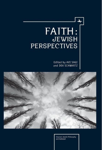Бумажная книга «Faith: Jewish Perspectives», авторов Ави Саги, Дов Шварц - фото №1