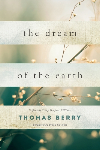Паперова книга «The Dream Of The Earth», автор Томас Беррі - фото №1
