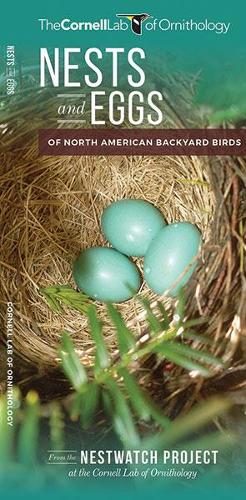 Паперова книга «Nests and Eggs of North American Backyard Birds», авторів Робін Бейлі, Корнельська лабораторія орнітології - фото №1